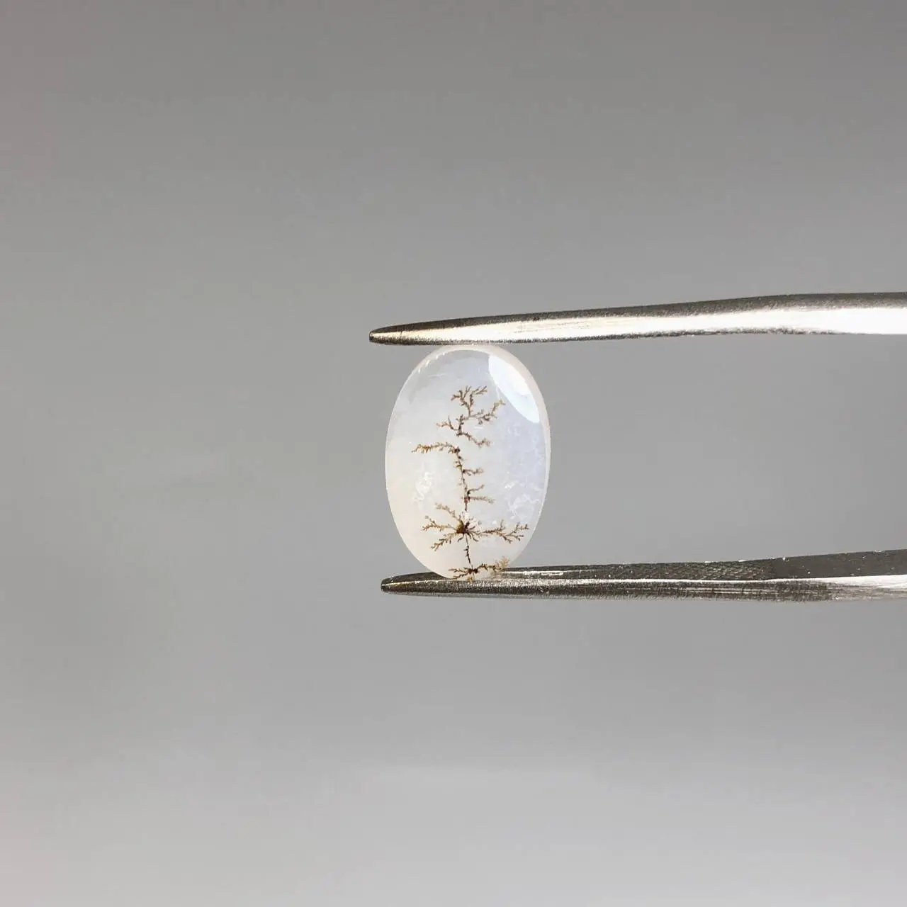 نگین عقیق طبیعی شجر 250439