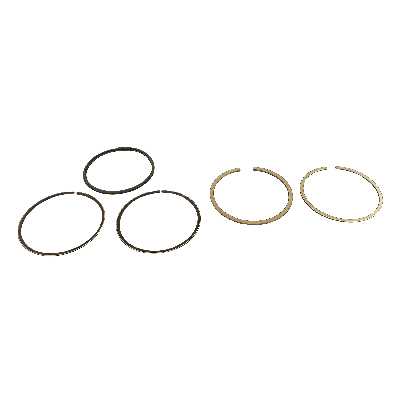 رینگ موتور پرفکت مدل STD مناسب برای پژو 405 بسته 20 عددی