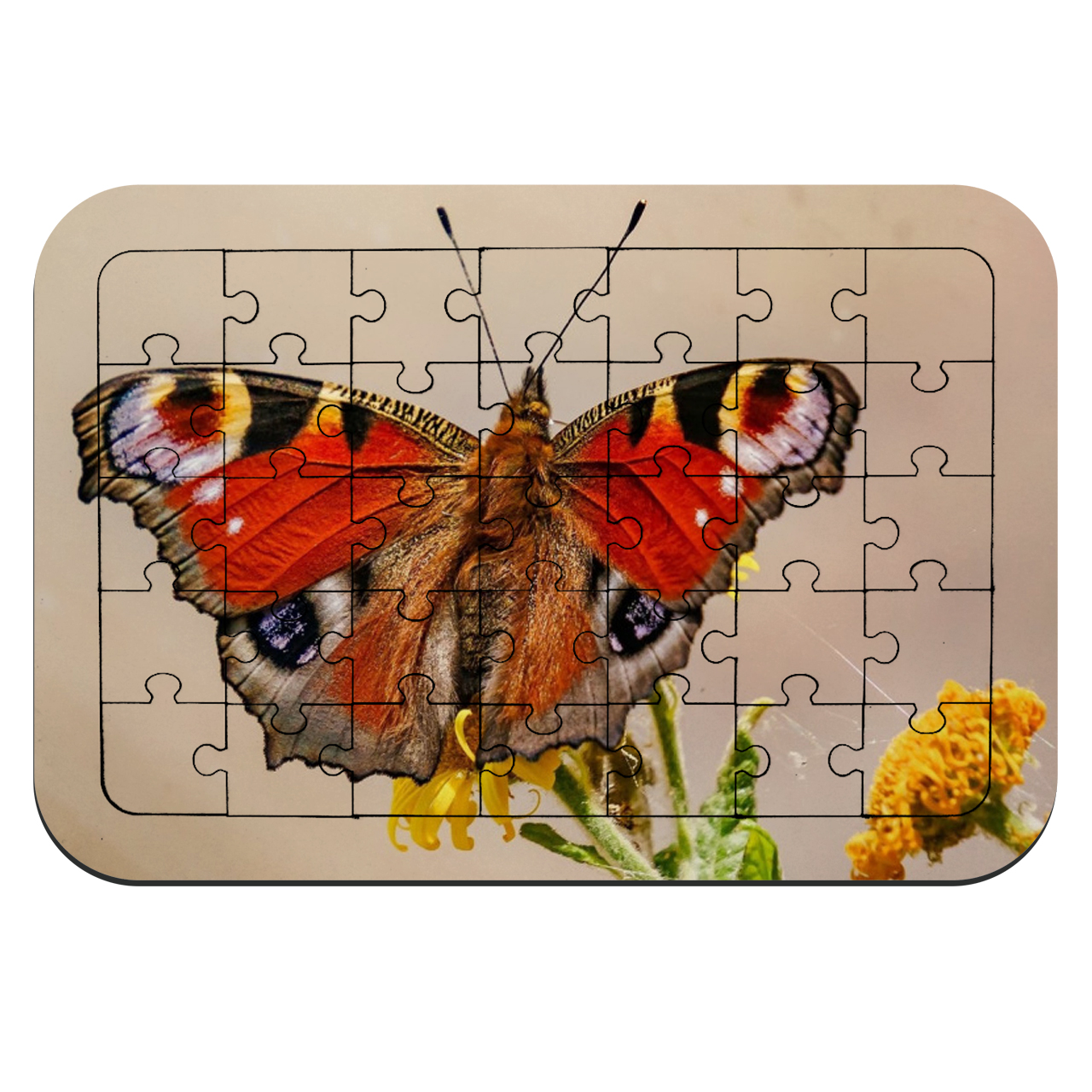 پازل 35 تکه طرح پروانه طاووسی مدل NI540