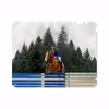 برچسب پوششی ماهوت مدل Equestrianism مناسب برای تبلت اپل iPad 2 2011 A1397