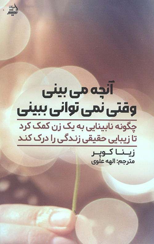 آنچه می بینی وقتی نمی توانی ببینی