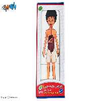 Головоломка слоя человеческого тела от E.E.I