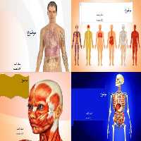 دانلود تم پاورپوینت آماده پزشکی