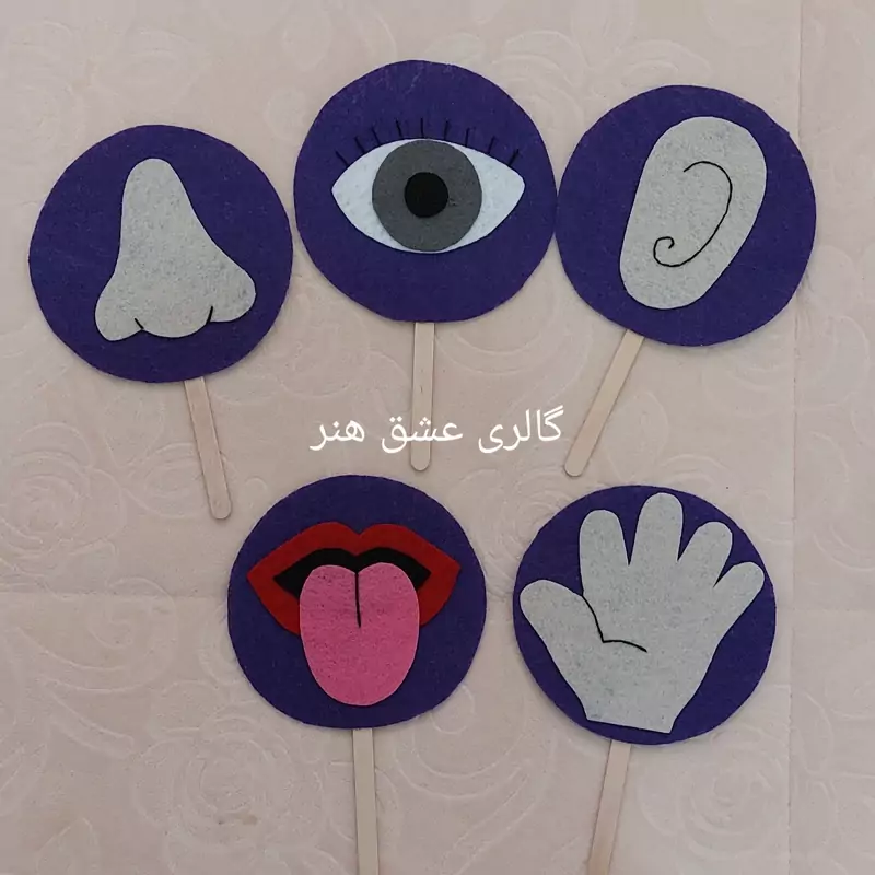 آموزش اعضای بدن(اندام های حسی)