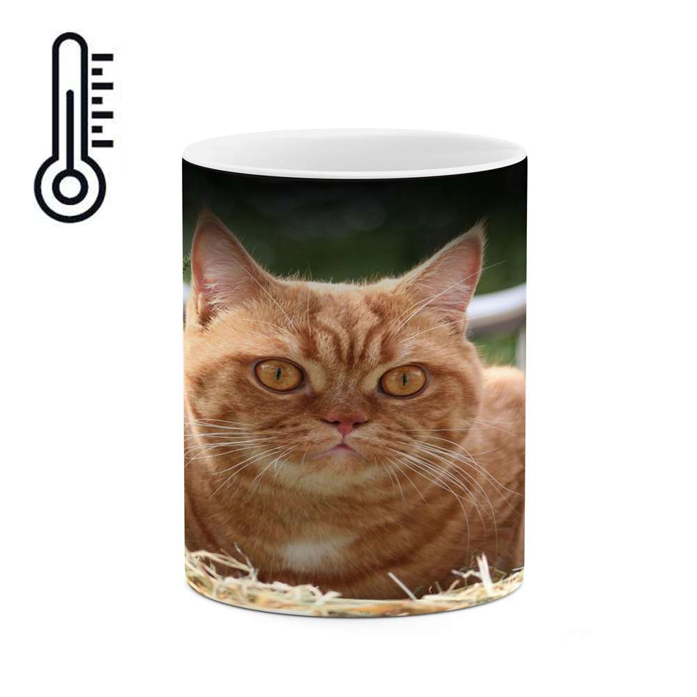 ماگ حرارتی کاکتی طرح گربه مدل mgh17242