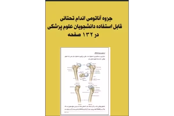 جزوه آناتومی اندام تحتانی قابل استفاده دانشجویان علوم پزشکی در 132 صفحه پی دی اف رنگی - کتابخانه مجازی واتیکان