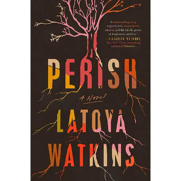 کتاب Perish اثر Latoya Watkins انتشارات Tiny Reparations Books
