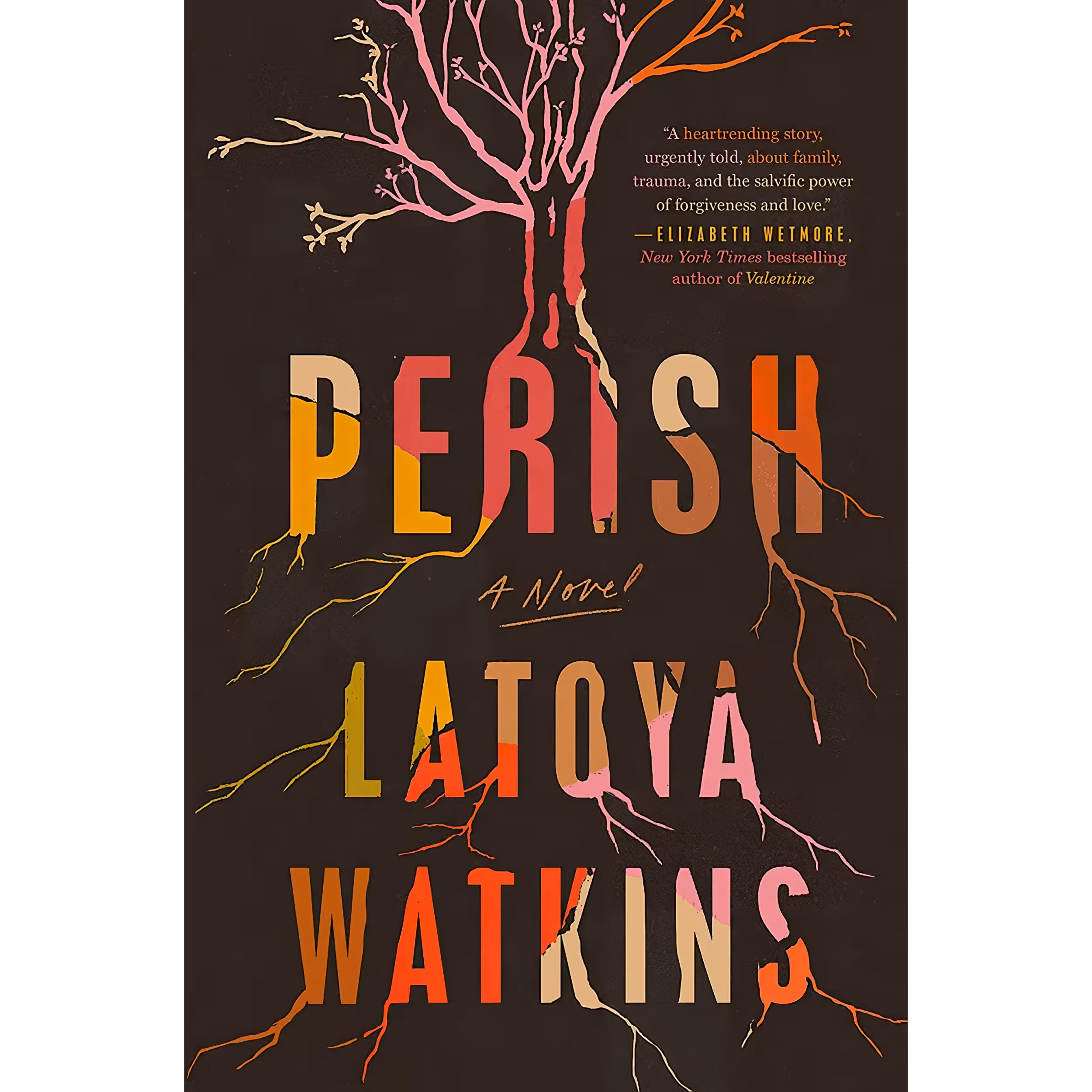 کتاب Perish اثر Latoya Watkins انتشارات Tiny Reparations Books