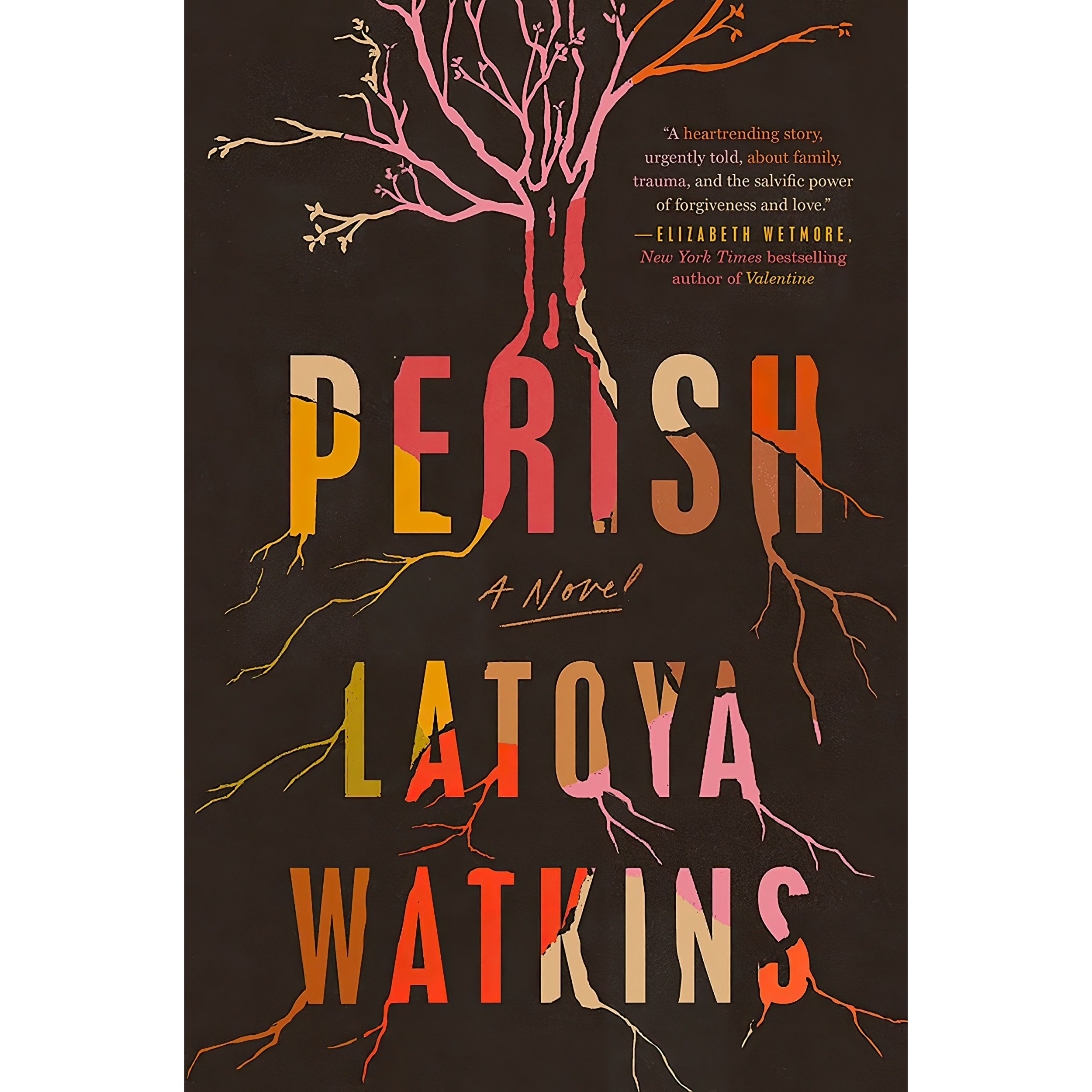 کتاب Perish اثر Latoya Watkins انتشارات Tiny Reparations Books