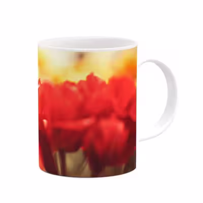 ماگ طرح گل مدل mgs12078