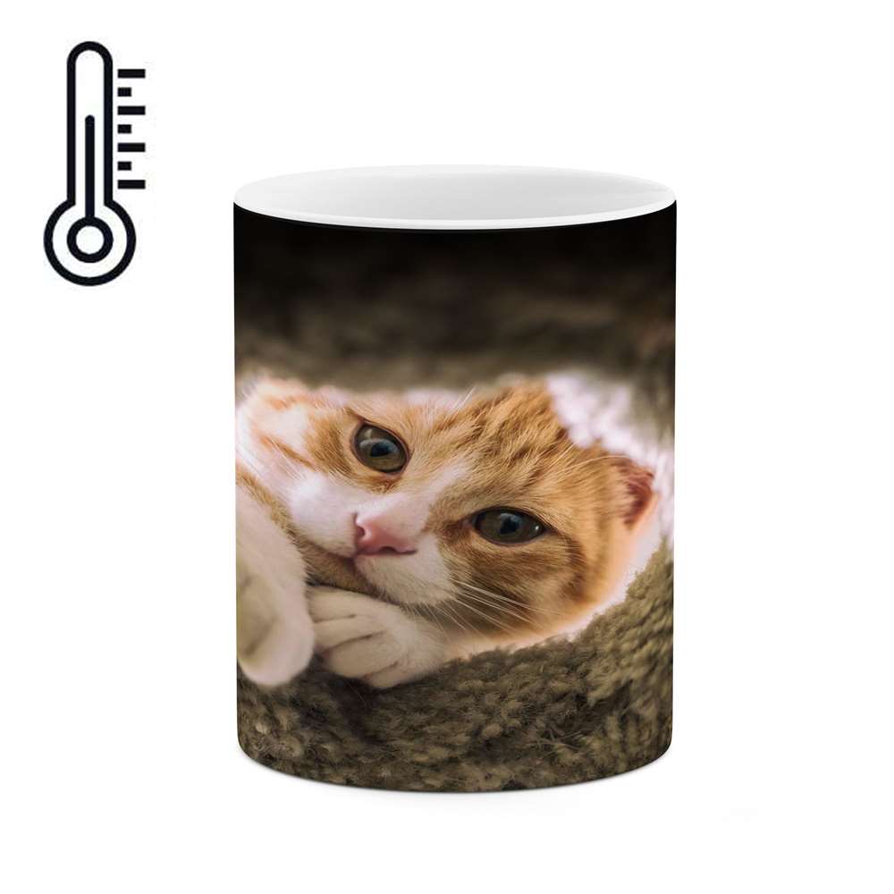 ماگ حرارتی کاکتی طرح گربه مدل mgh17157