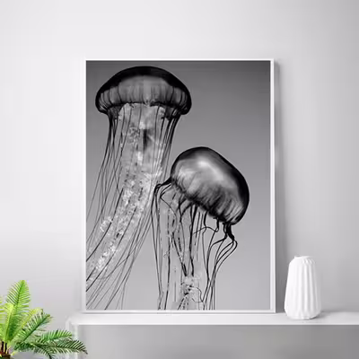 تابلو روما دیزاین طرح نوشته و بال حشره و عروس دریایی مدل A02d مجموعه 3 عددی