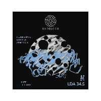 سیم گیتار نابلوخ مدل LDA34.5 | choobsub