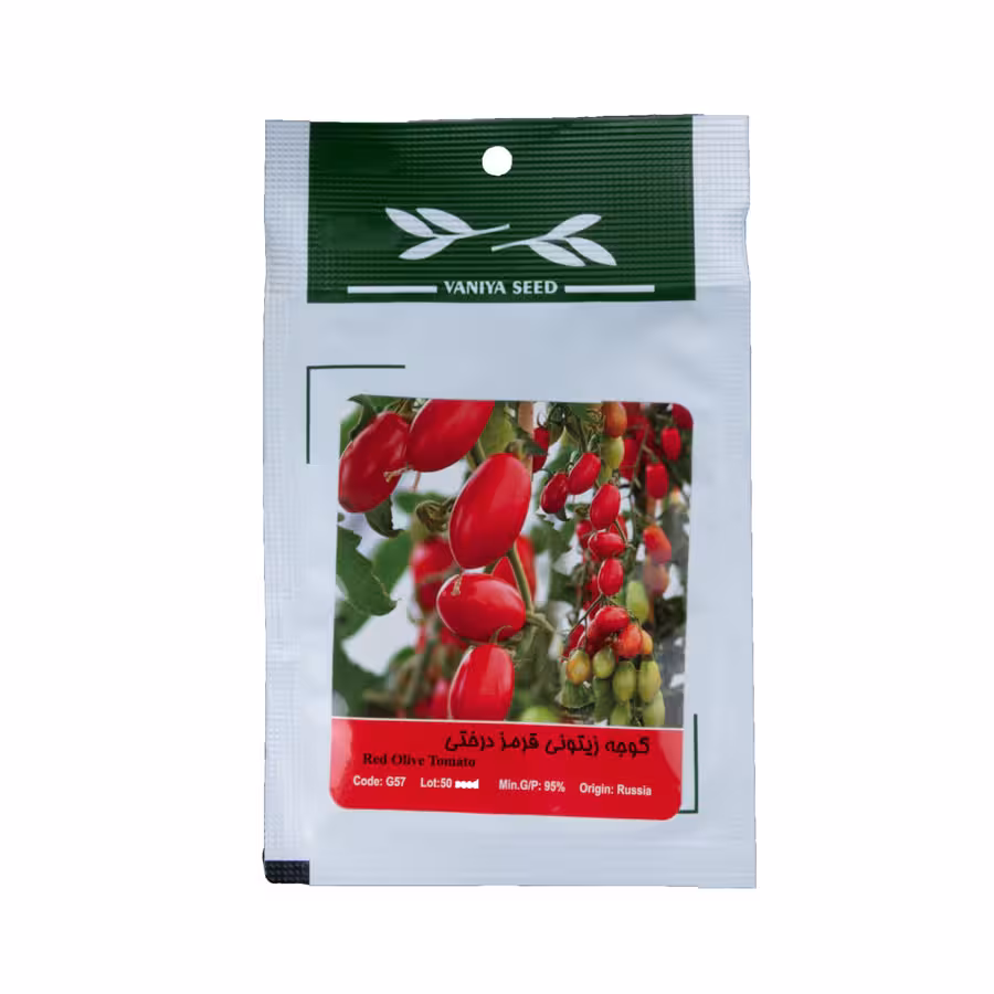 بذر گوجه زیتونی قرمز درختی