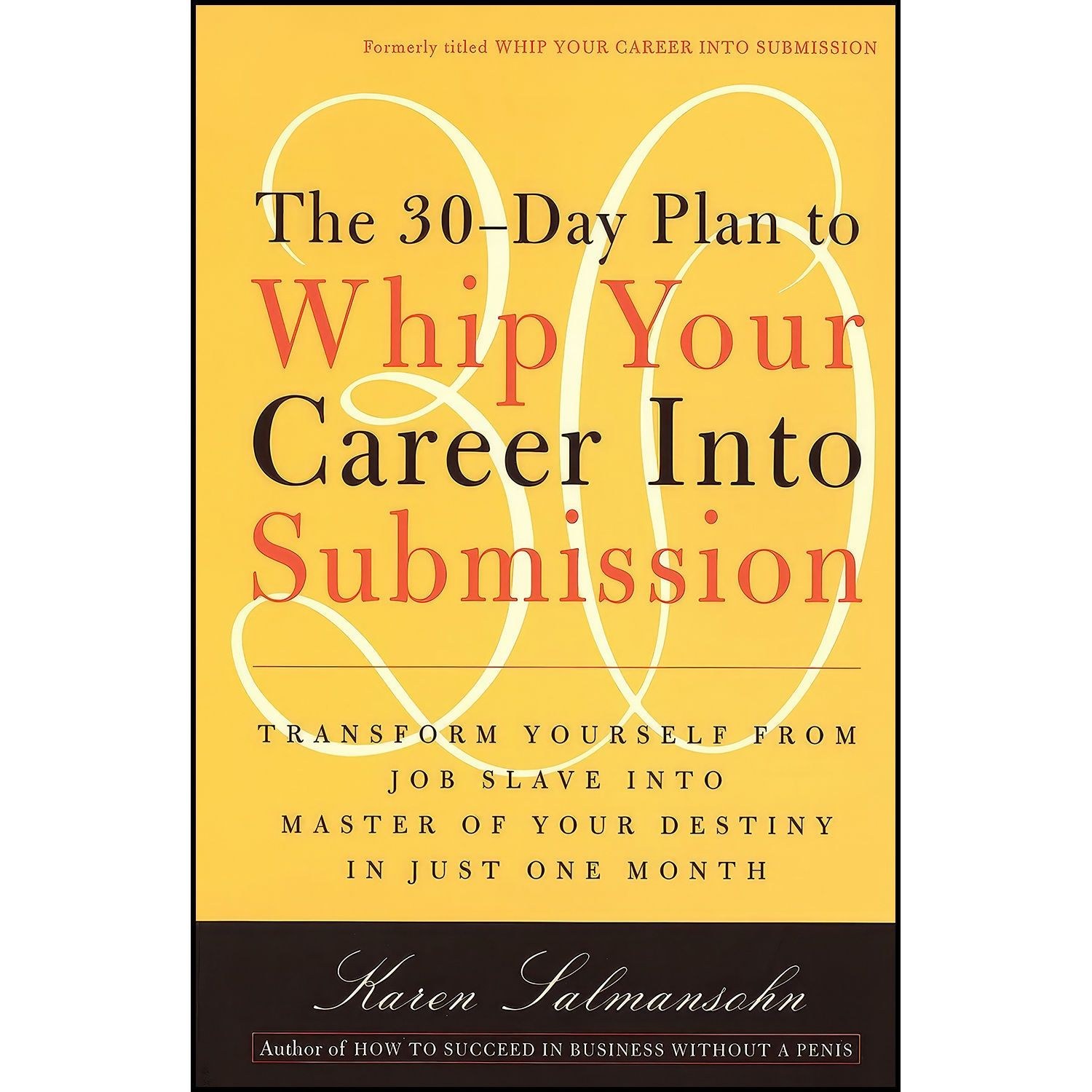 کتاب زبان اصلی The Day Plan to Whip Your Career Into Submission