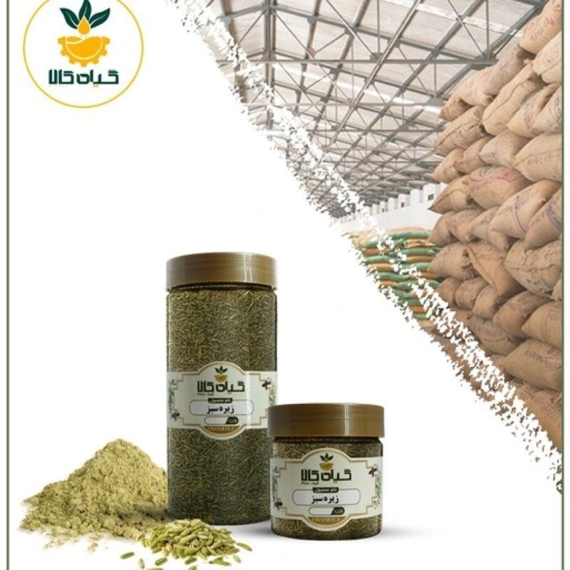 ادویه زیره سبز با کیفیت عالی، بار امسالی و تازه(200گرمی)