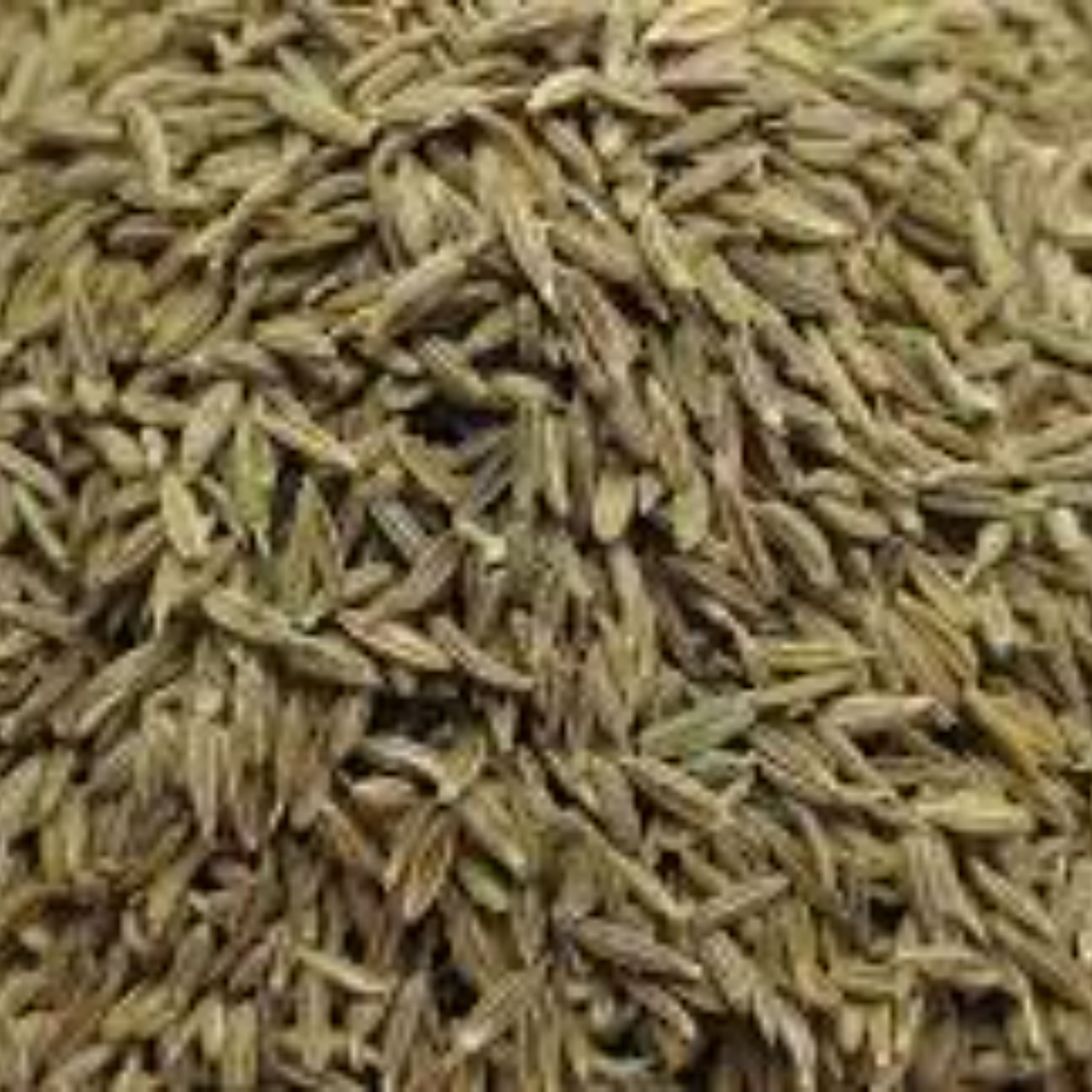 زیره سبز 100 گرمی