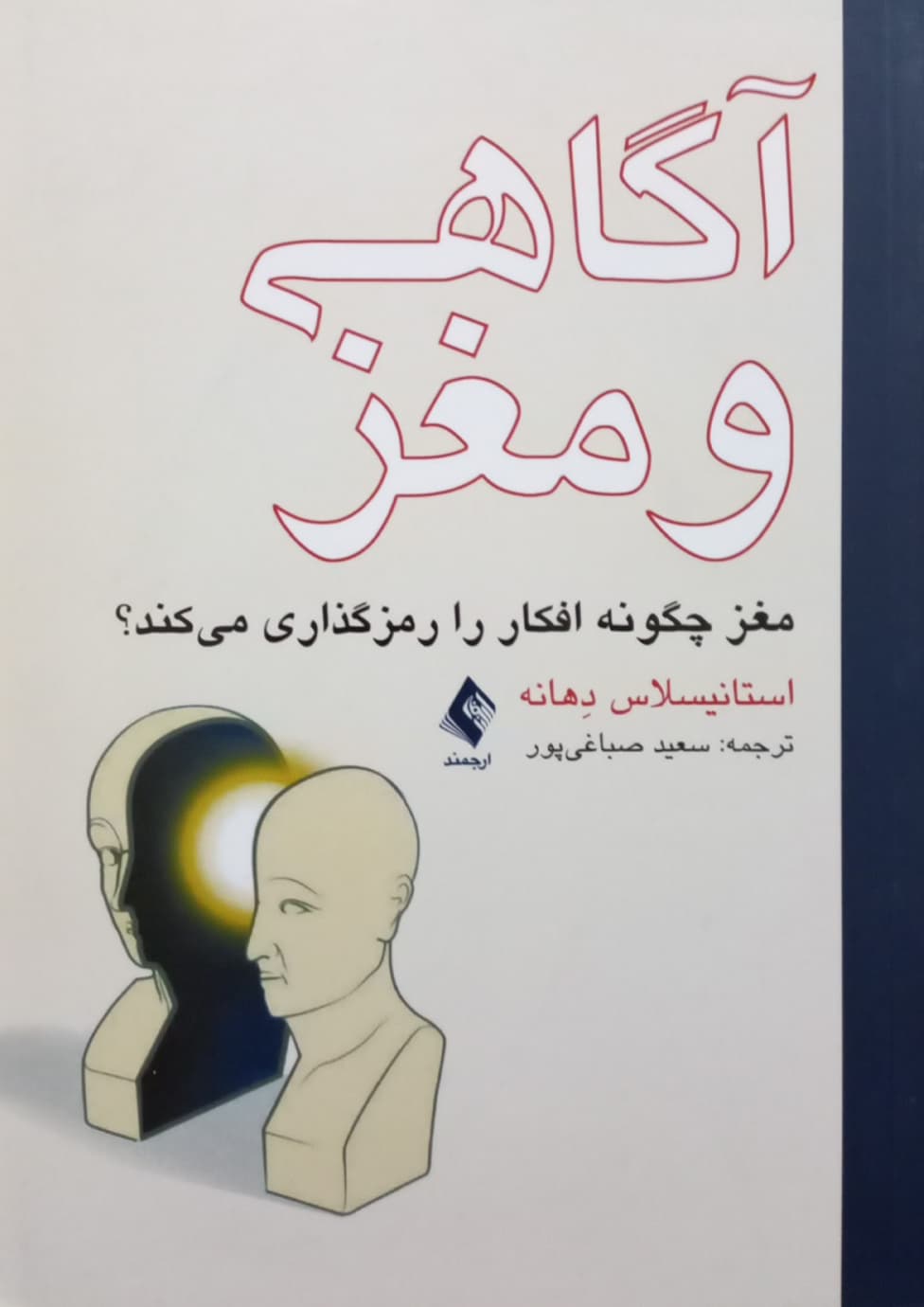 آگاهی و مغز؛ مغز چگونه افکار را رمزگذاری می کند؟