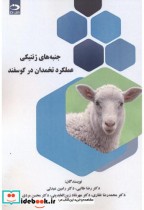 قیمت و خرید کتاب جنبه های ژنتیکی عملکرد تخمدان در گوسفند | ایده بوک