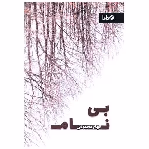 کتاب بی نام اثر الهام محمودی