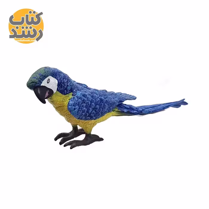 فیگور طوطی