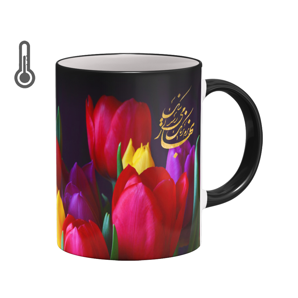 ماگ حرارتی بیگ ماگ مدل نوروز کد 5802