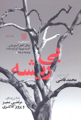 بیریشه