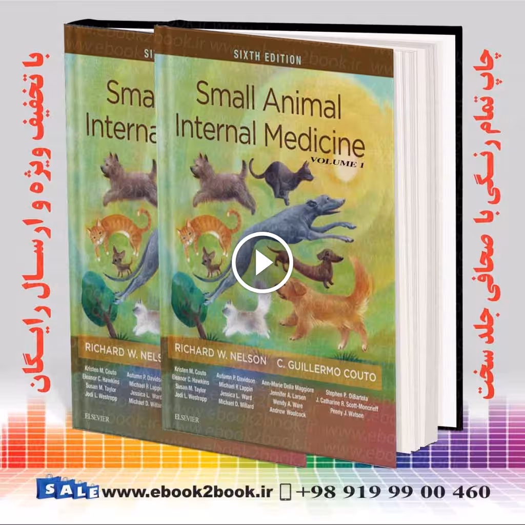 Small Animal Internal Medicine 6th Edition