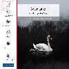 برچسب پوششی ماهوت مدل Swan Lake مناسب برای تبلت اپل iPad Pro 105 2017 A1701