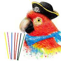 مغزی مداد نوکی 2 میل رنگی