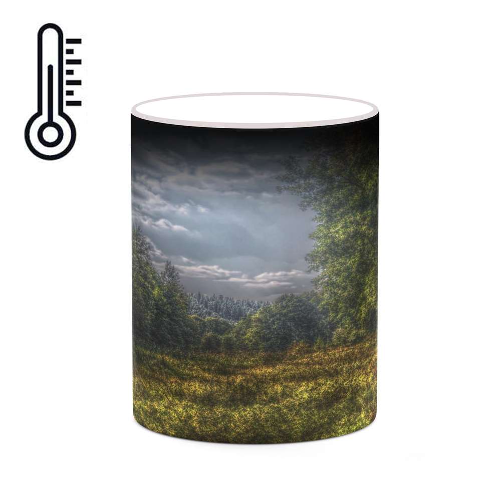 ماگ حرارتی کاکتی طرح منظره مدل mgh20764