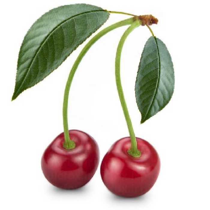 خرید و دانلود عکس Food-Part-18 کد 19400 | پیک فاکس | Pic Fox