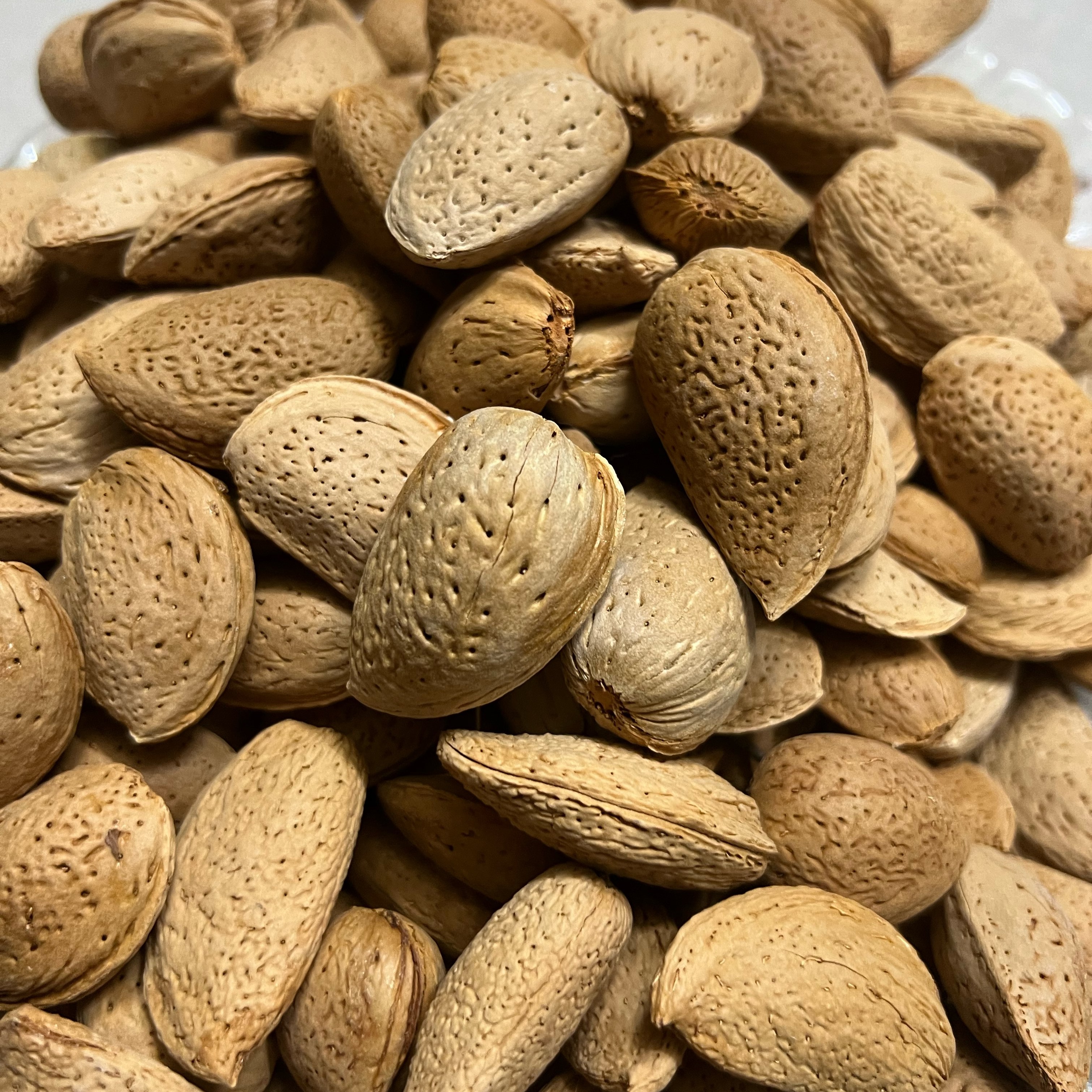 بادام سنگی درجه یک کاشان (10 کیلویی) ـ تازه برداشت شهریور 1402