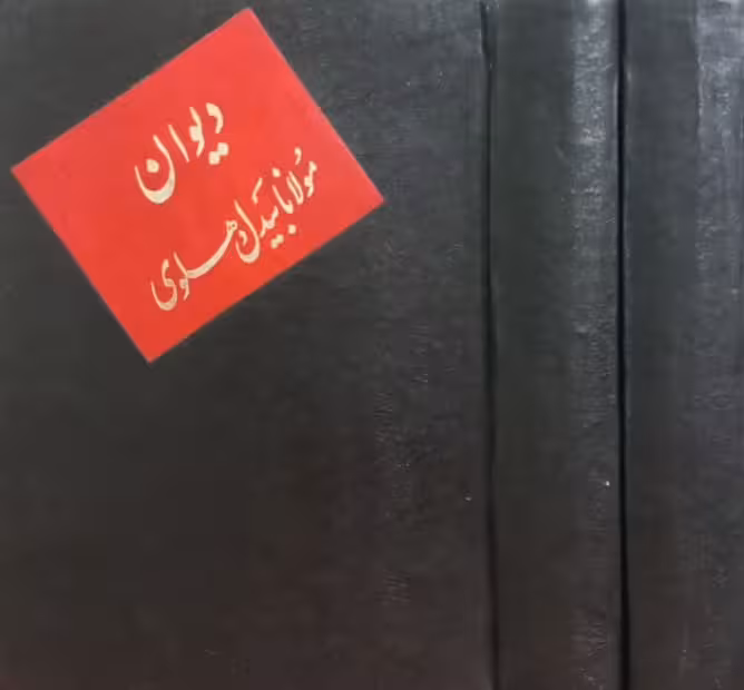 دیوان مولانا بیدل دهلوی