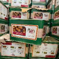 زیتون پرورده سوپر 9کیلو تالو