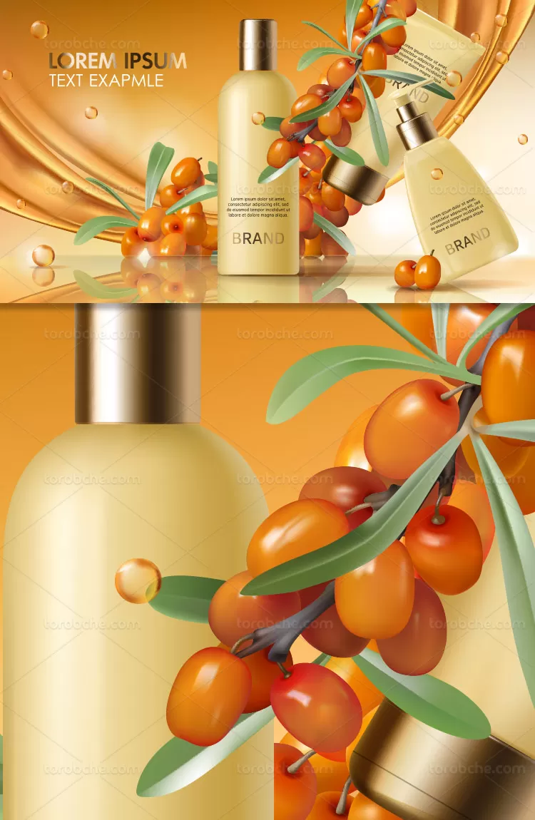 وکتور محصولات بهداشتی | گرافیک با طعم تربچه