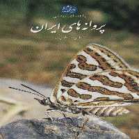 پروانه های ایران (راهنمای میدانی)،(گلاسه) - ناشربوک | خرید آنلاین کتاب
