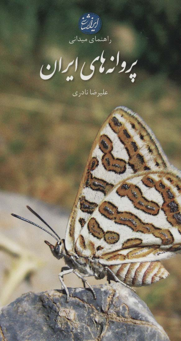 پروانه های ایران (راهنمای میدانی)،(گلاسه) - ناشربوک | خرید آنلاین کتاب