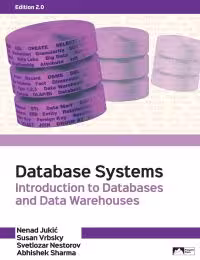 خرید و دانلود نسخه کامل کتاب Database Systems: Introduction to Databases and Data Warehouses (2nd Edition) [2020] -   pdf