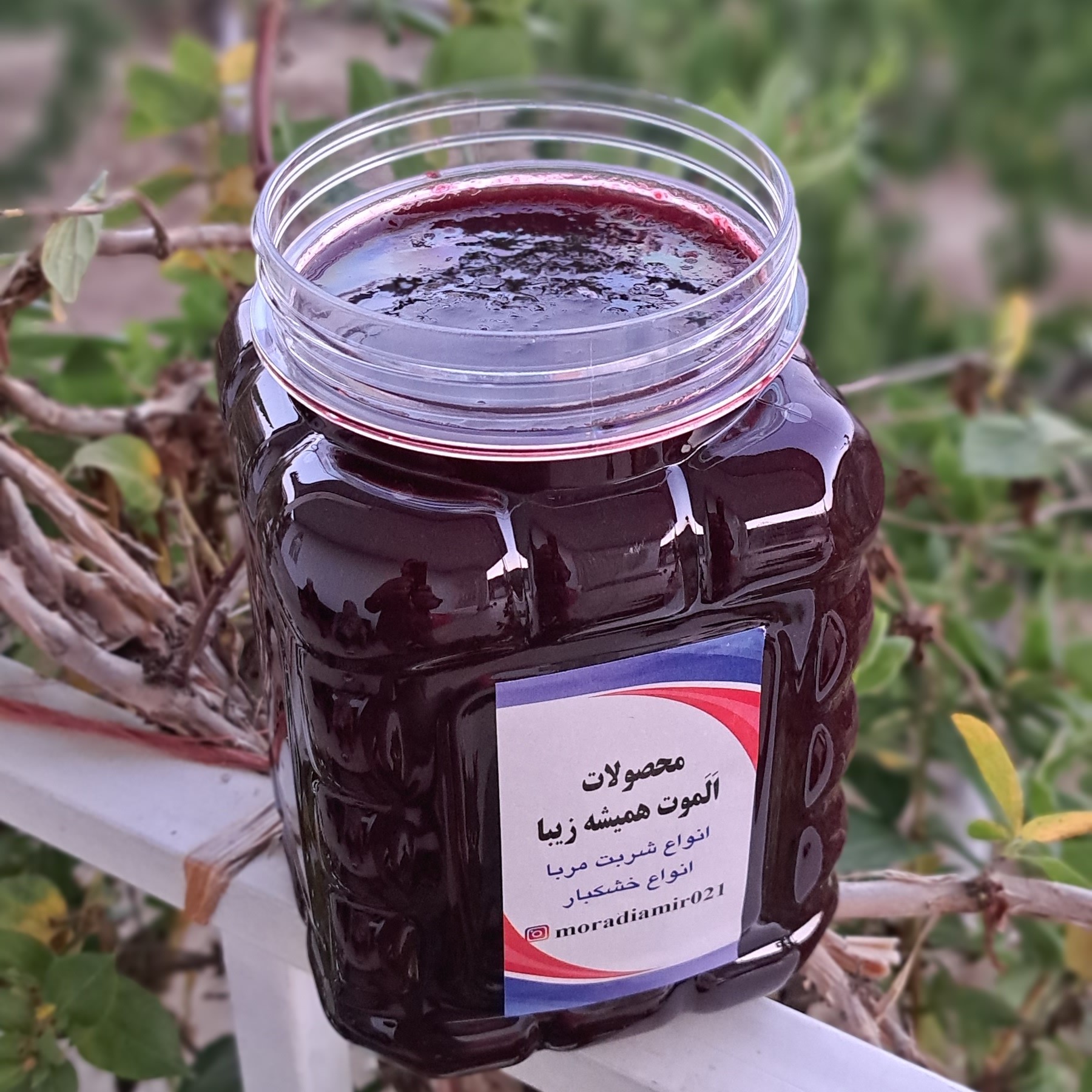 مارمالاد آلبالو