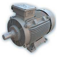 الکتروموتور موتوژن سه فاز 3000 دور چدنی 37kw