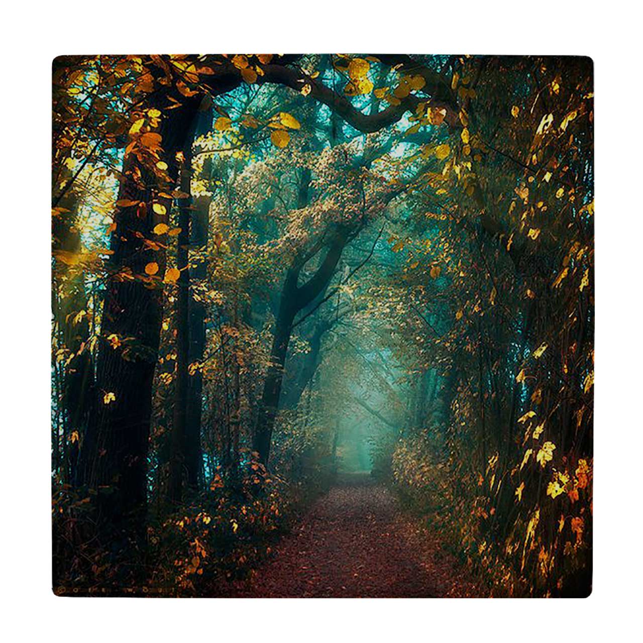 زیر لیوانی  طرح جنگل کد    5925229_4580