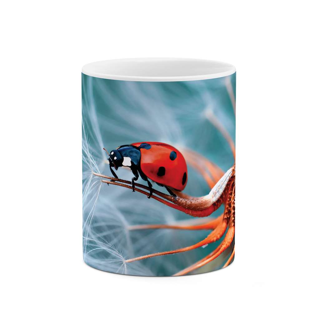 ماگ طرح کفشدوزک مدل mgp10117