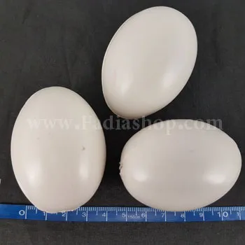 تخم مرغ پلاستیکی بسته ای