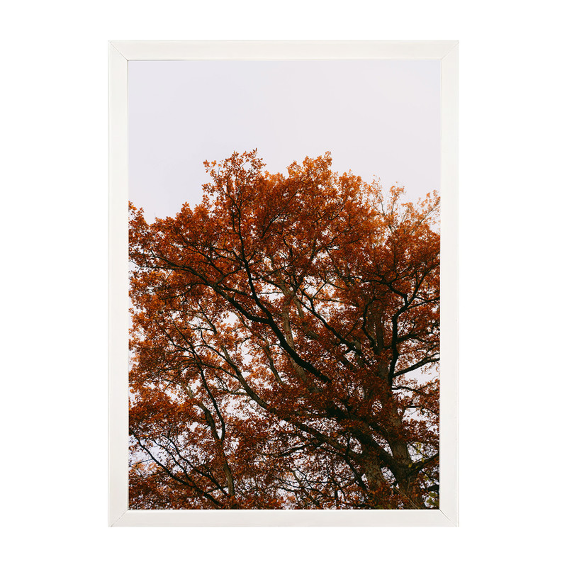 تابلو مدل دیواری طرح درخت پاییزی کد EA-1274 | دنیای قاب