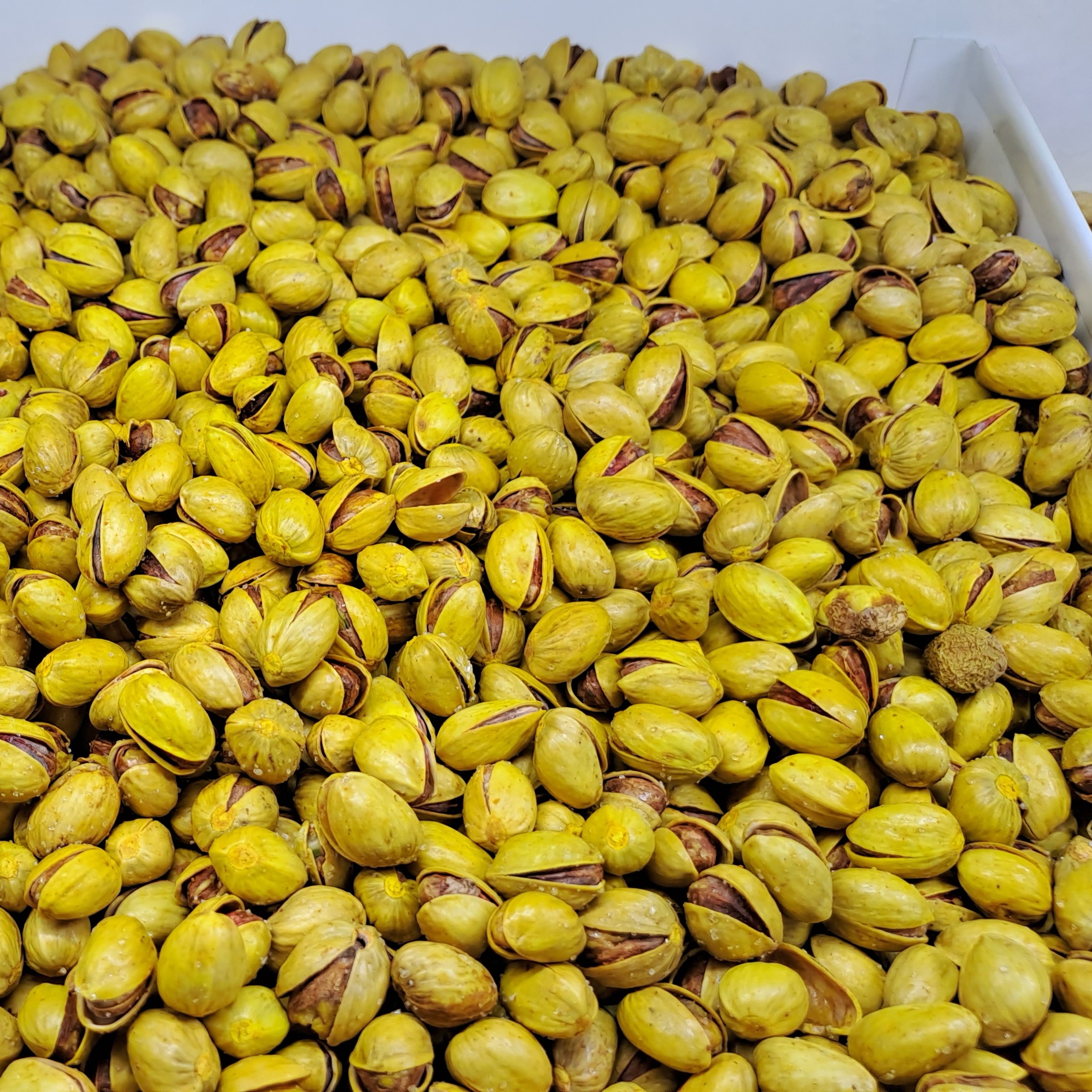 پسته کله قوچی شور (یک کیلویی)