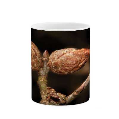 ماگ طرح شکوفه گل مدل mgs07767