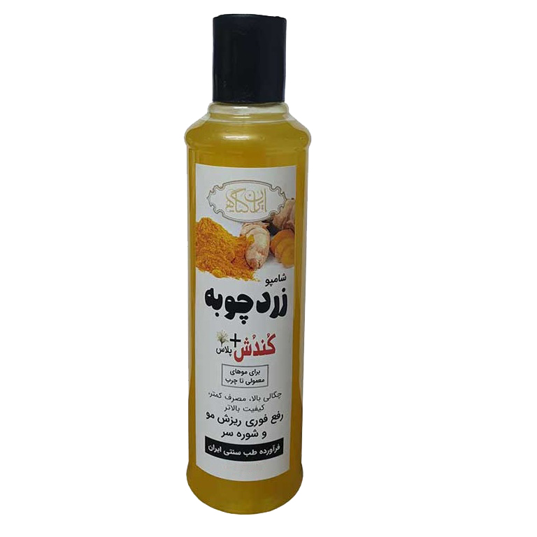 شامپو تقویت کننده و ترمیم کننده مو ایران گیاه مدل زردچوبه حجم 230 میلی لیتر