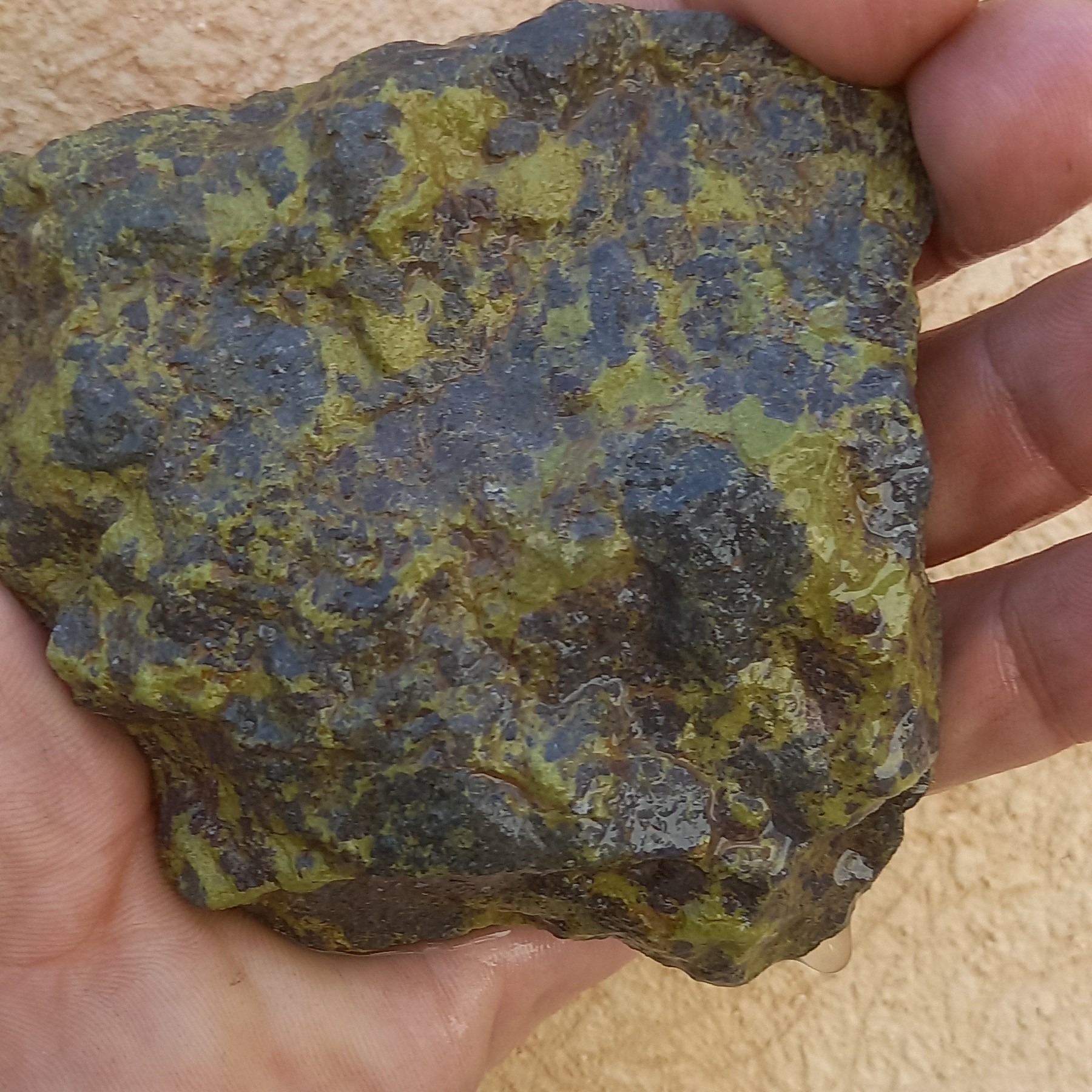 راف عقیق ماریا  خاص کویر