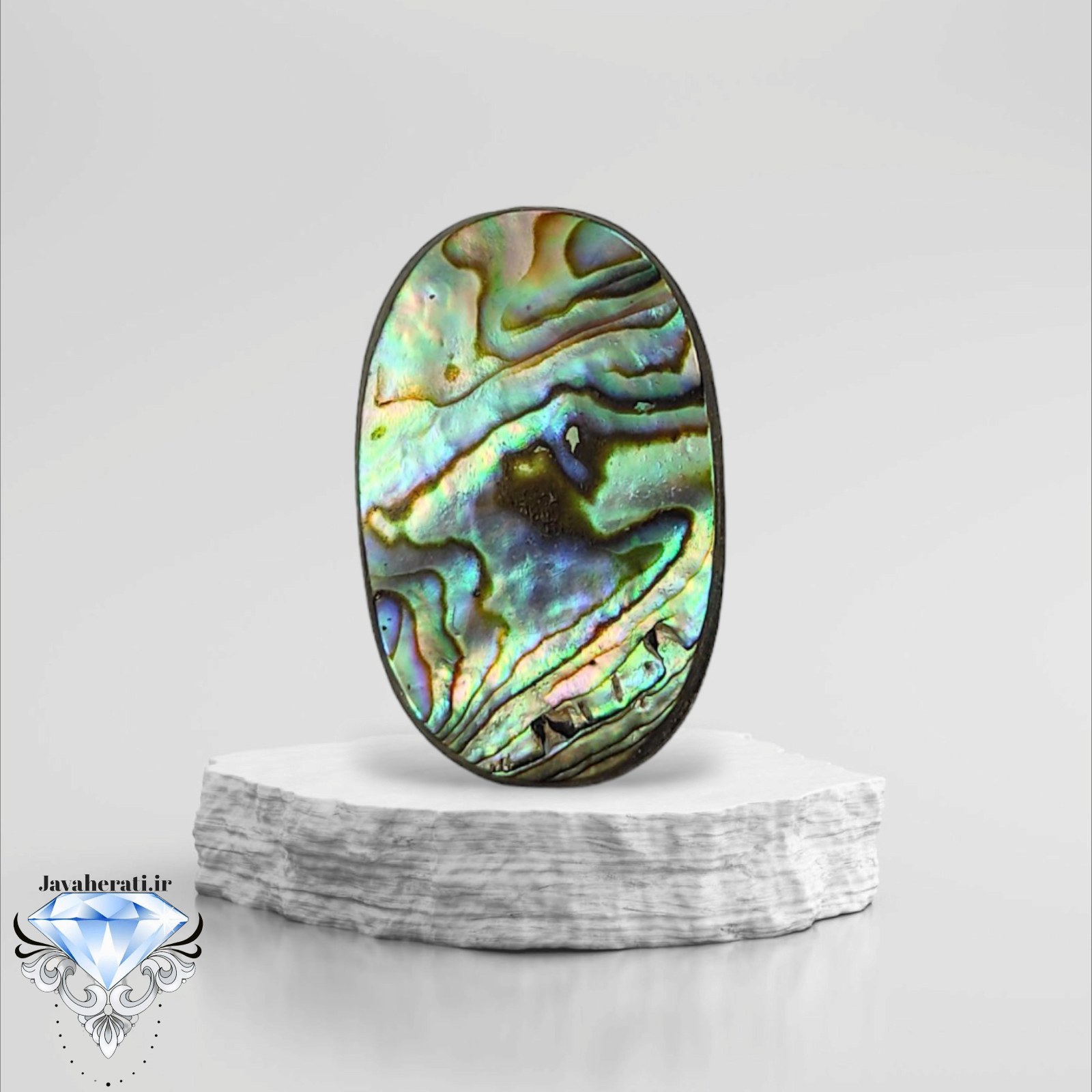 نگین صدف آبالون طبیعی و خیره کننده a17 